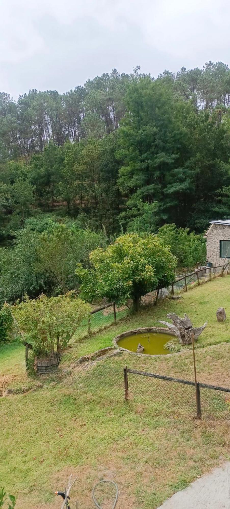 Eido Benito Villa Mondariz Buitenkant foto